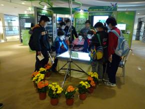 植物新視界