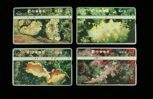 貝類圖案中華電信卡