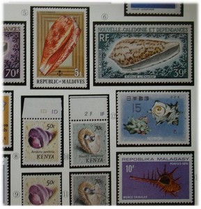 變體貝殼的郵票集