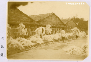 昭和年間臺灣纖維株式會社恒春出張所製麻過程組圖：乾燥