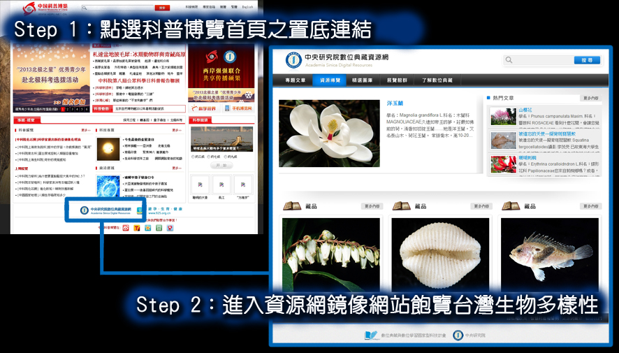 從中國科普博覽網連結至數典資源網鏡像網站