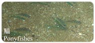 鰏Ponyfishes